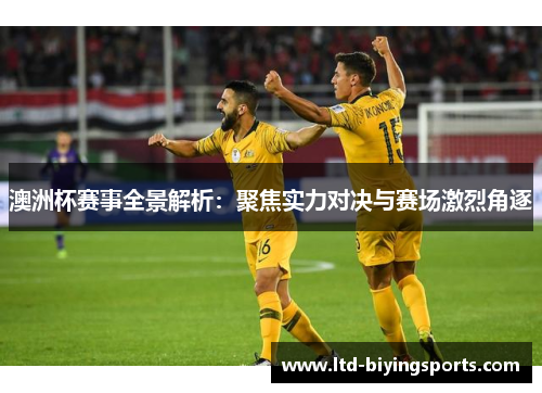 澳洲杯赛事全景解析：聚焦实力对决与赛场激烈角逐